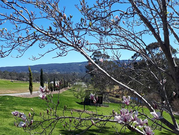 Photo 17 for Highfields Two Bedroom Cottage Kurrajong
