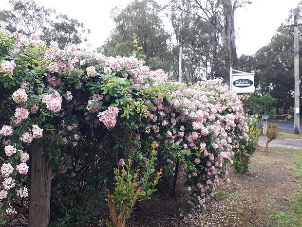 Photo 25 for Highfields Two Bedroom Cottage Kurrajong