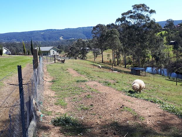 Photo 23 for Highfields Two Bedroom Cottage Kurrajong
