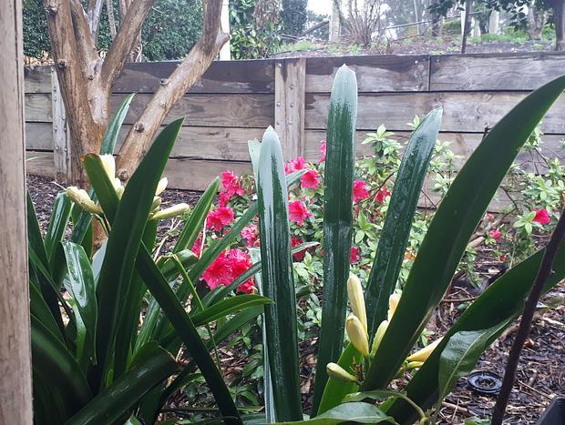 Photo 22 for Highfields Two Bedroom Cottage Kurrajong