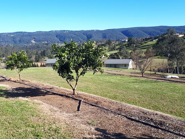 Photo 24 for Highfields Two Bedroom Cottage Kurrajong