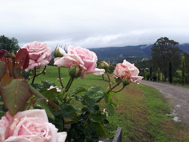 Photo 27 for Highfields Two Bedroom Cottage Kurrajong