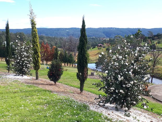 Photo 32 for Highfields Two Bedroom Cottage Kurrajong