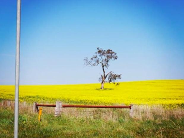 Photo 19 for Pound Hill Cottage - Beautiful Country Stay