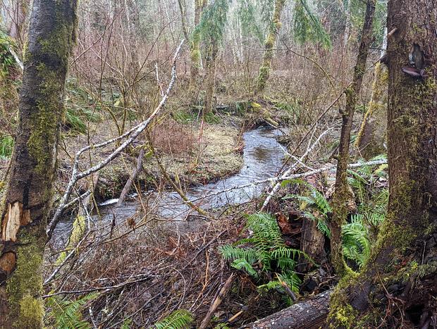 Photo 23 for Camp Nelson - Just Minutes Away From Mt. Ranier