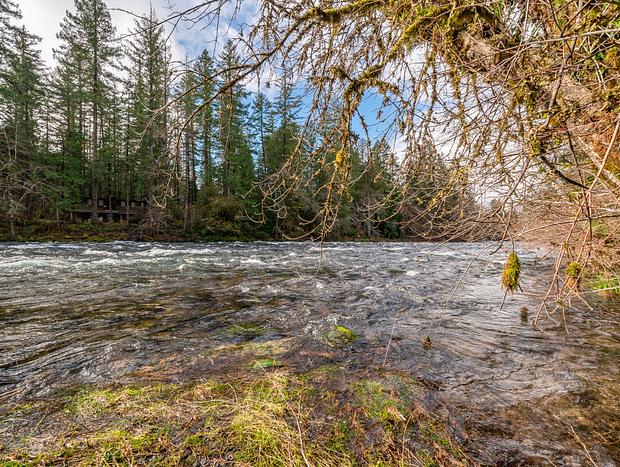 Photo 5 for McKenzie River Studio Cabin Plus