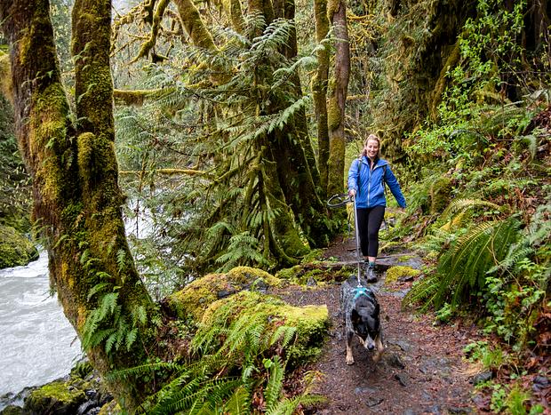 Photo 17 for A PNW Forest Cabin Escape