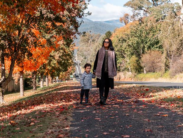 Photo 1 for Mount Bogong Lookout and Autumn Colours