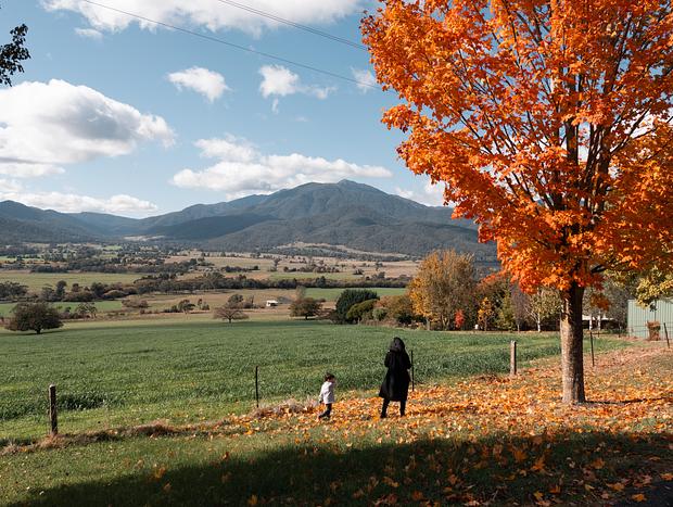 Photo 3 for Mount Bogong Lookout and Autumn Colours