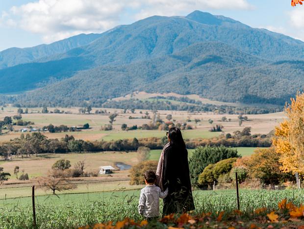 Photo 5 for Mount Bogong Lookout and Autumn Colours