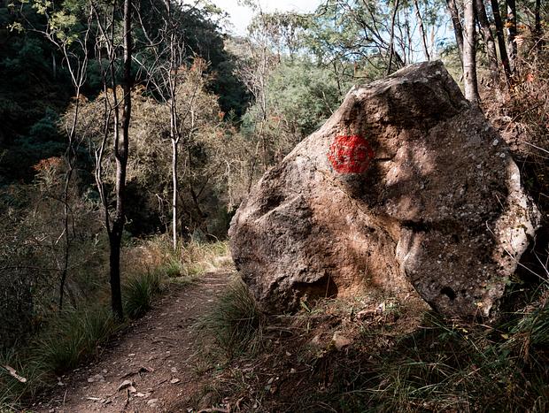 Photo 3 for Mount Beauty Gorge
