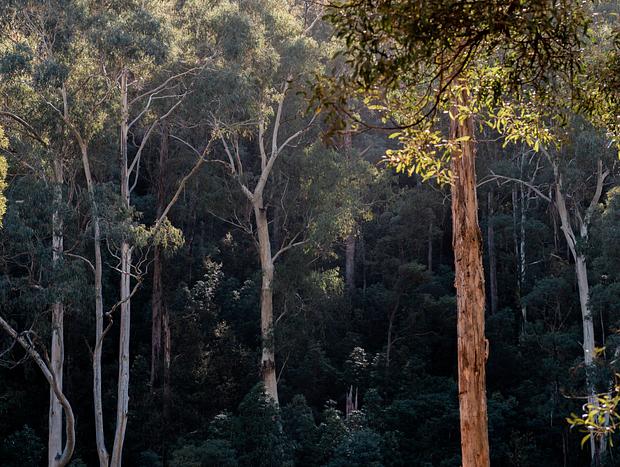 Photo 4 for Mountain Creek – Gateway to Mount Bogong