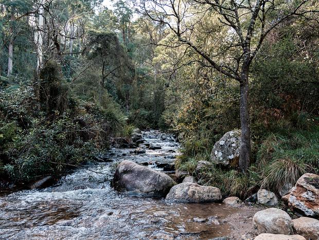Photo 5 for Mountain Creek – Gateway to Mount Bogong