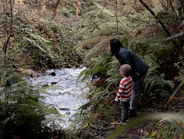 Photo 1 for Mountain Creek – Gateway to Mount Bogong