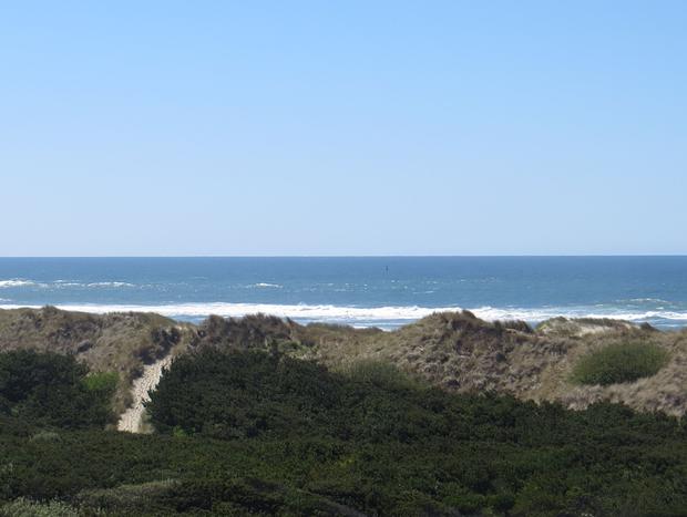Photo 46 for Deja View on Heceta Beach