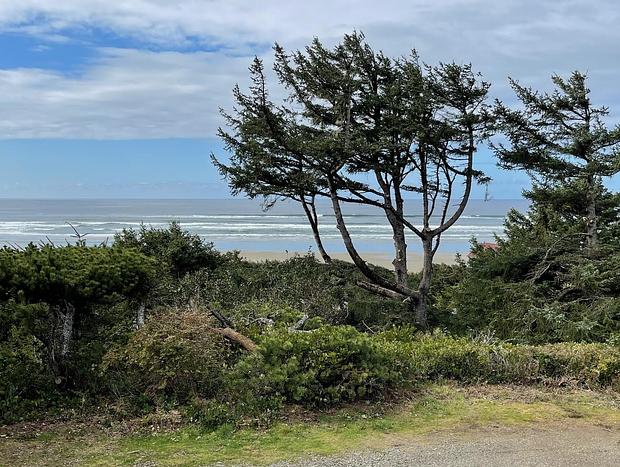 Photo 47 for Driftwood Heights at Heceta Beach