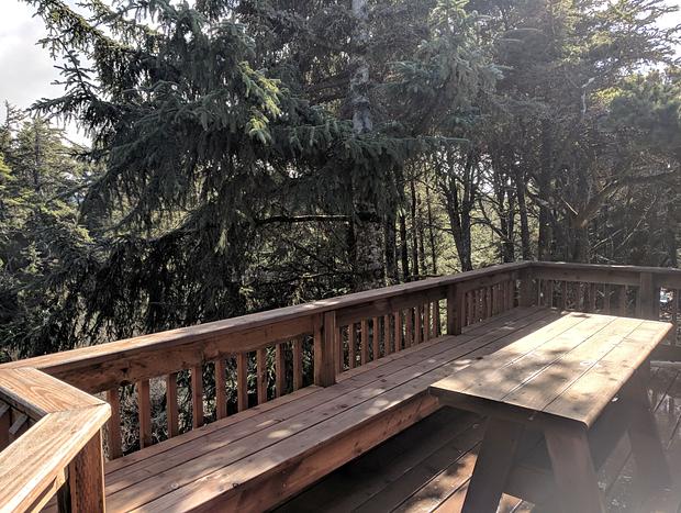 Photo 41 for Driftwood Heights at Heceta Beach