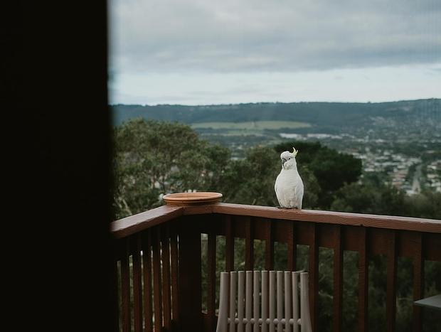Photo 39 for Kinoie Mornington - Oceanview