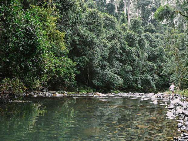 Photo 2 for Dreamy Bushwalks