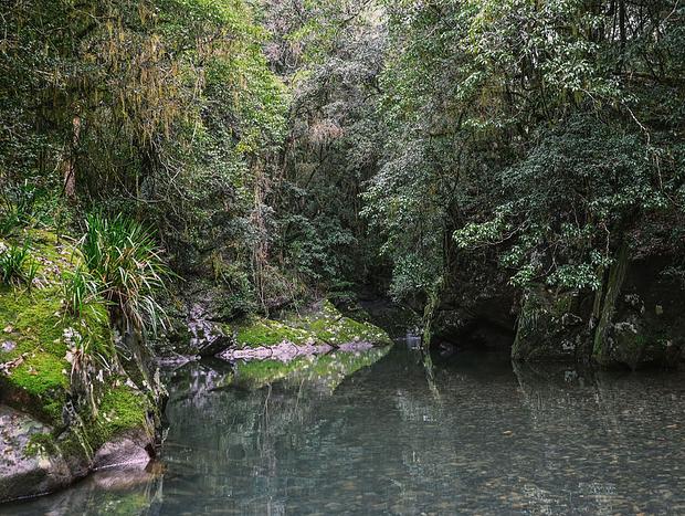 Photo 3 for Dreamy Bushwalks