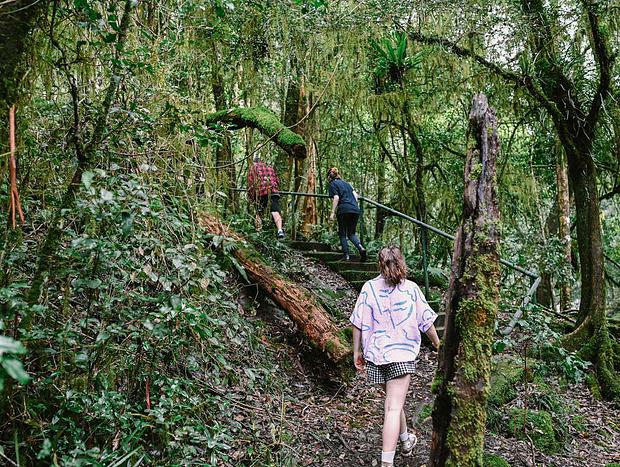 Photo 6 for Dreamy Bushwalks