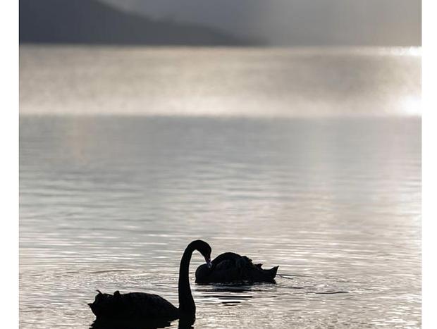 Photo 7 for Parawai Bay Lakeside Retreat - Rotorua