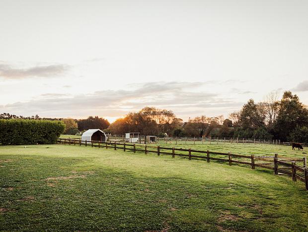 Photo 14 for Slice of Heaven with Farm Views