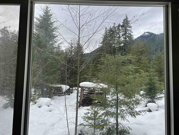 Photo 22 for Cozy Tiny Home Steps Away From Mt. Rainier