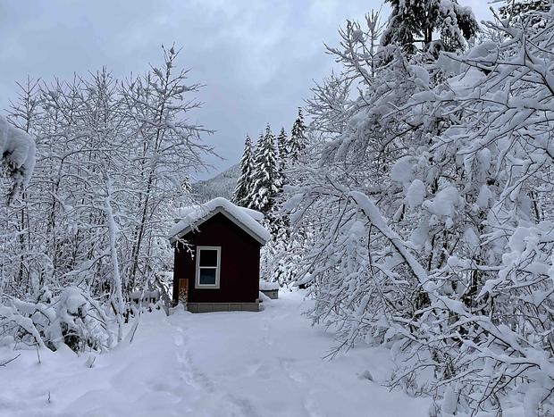 Photo 24 for Cozy Tiny Home Steps Away From Mt. Rainier