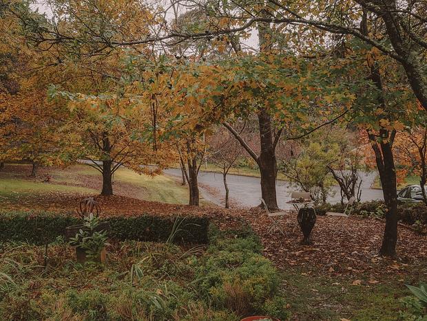 Photo 16 for A Cosy, Autumnal Cabin in the Southern Highlands