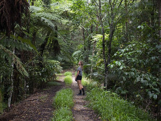 Photo 1 for The Optus Trail