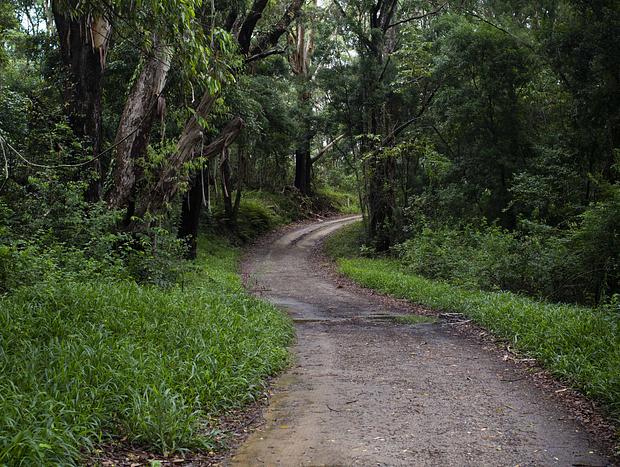 Photo 3 for The Optus Trail