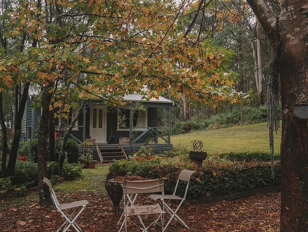 Photo 15 for A Cosy, Autumnal Cabin in the Southern Highlands