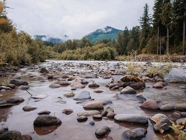 Photo 44 for The Mt. Hood Manor - Woodsy Luxury By The River