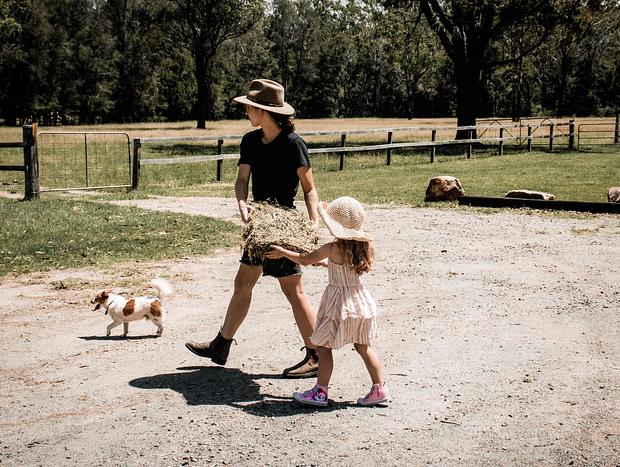 Photo 21 for The Stables Farmstay Lake Innes