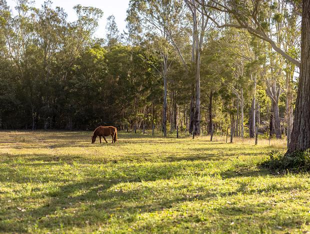 Photo 28 for The Stables Farmstay Lake Innes