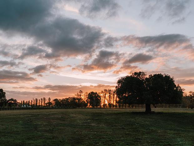 Photo 43 for Experiencing an 1860s Australian Cottage