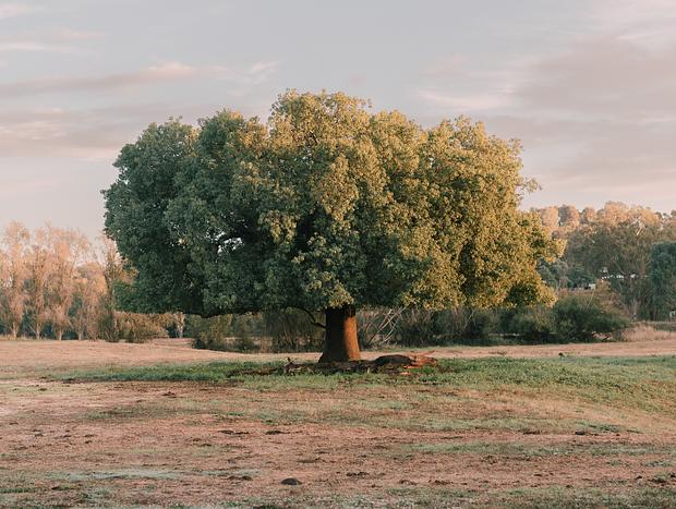Photo 34 for Experiencing an 1860s Australian Cottage