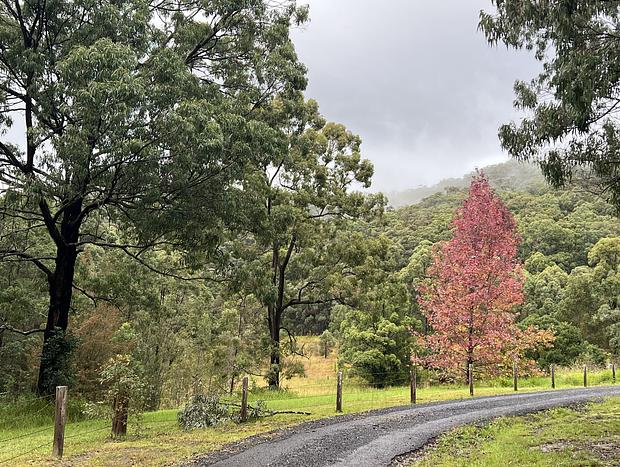 Photo 19 for Wallis Lake Farm Stay. 15 Mins from Boomerang Beach