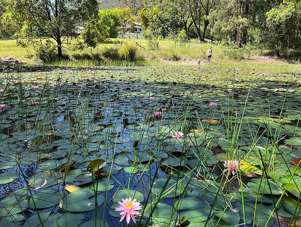 Photo 20 for Wallis Lake Farm Stay. 15 Mins from Boomerang Beach