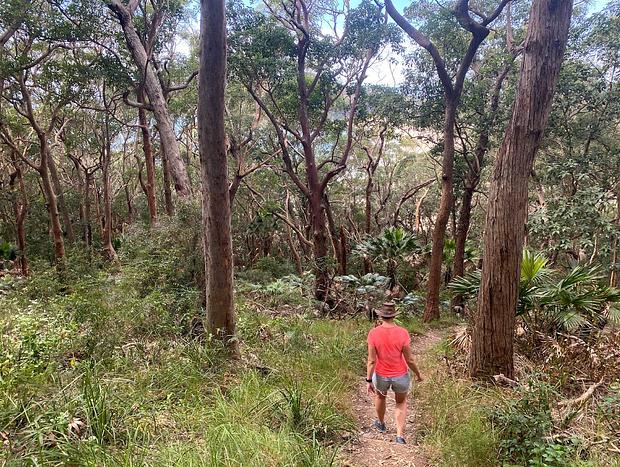 Photo 27 for Wallis Lake Farm Stay. 15 Mins from Boomerang Beach