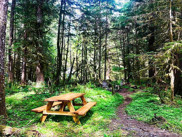 Photo 27 for Quiet House in the Forest near Mt Hood