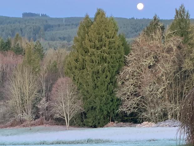 Photo 11 for Secluded Country Getaway - 30 minutes from Portland