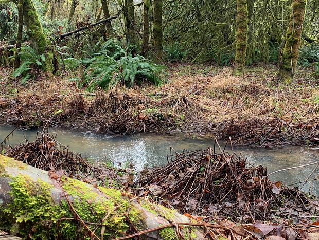 Photo 12 for Secluded Country Getaway - 30 minutes from Portland