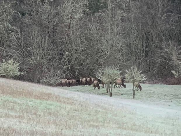 Photo 13 for Secluded Country Getaway - 30 minutes from Portland