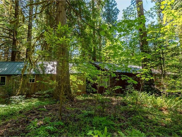 Photo 27 for McKenzie River Cozy Cabin