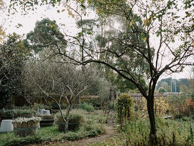 Photo 4 for A Picnic in the Gardens at the Estate Trentham