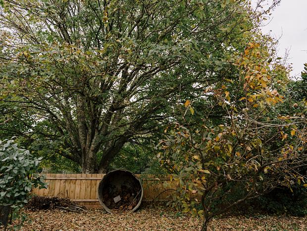 Photo 2 for A Picnic in the Gardens at the Estate Trentham