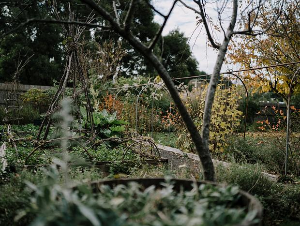 Photo 6 for A Picnic in the Gardens at the Estate Trentham