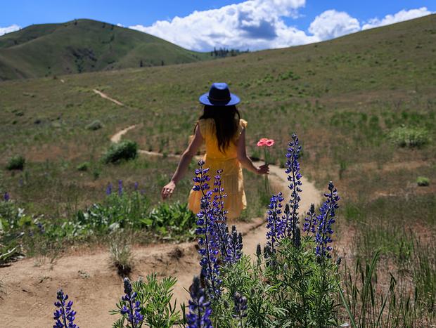 Photo 1 for Wildflowers at Wenatchee Foothills